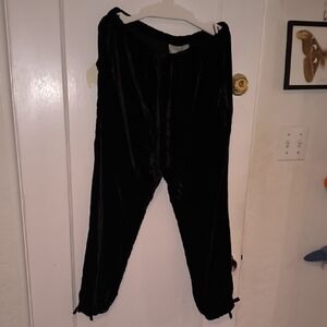 NWT Joie | Black Rayon And Silk, Velvet Like Pants